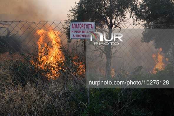 Fireman is fighting the fire  during a wildfire in southern urban of Attica, Greece, on 17, July 2023. Fire fighting forces battling a blaze...