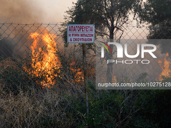 Fireman is fighting the fire  during a wildfire in southern urban of Attica, Greece, on 17, July 2023. Fire fighting forces battling a blaze...