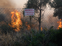 Fireman is fighting the fire  during a wildfire in southern urban of Attica, Greece, on 17, July 2023. Fire fighting forces battling a blaze...