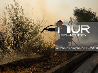 Fireman is fighting the fire  during a wildfire in southern urban of Attica, Greece, on 17, July 2023. Fire fighting forces battling a blaze...