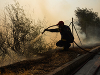 Fireman is fighting the fire  during a wildfire in southern urban of Attica, Greece, on 17, July 2023. Fire fighting forces battling a blaze...