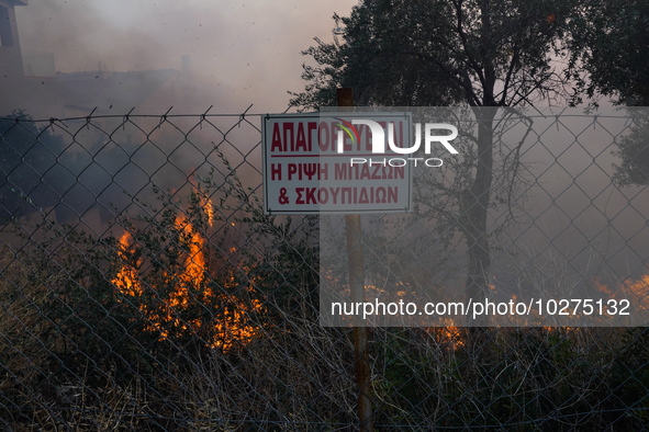 Fire during a wildfire in southern urban of Attica, Greece, on 17, July 2023. Fire fighting forces battling a blaze that broke out on Monday...