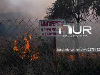 Fire during a wildfire in southern urban of Attica, Greece, on 17, July 2023. Fire fighting forces battling a blaze that broke out on Monday...