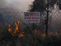 Fire during a wildfire in southern urban of Attica, Greece, on 17, July 2023. Fire fighting forces battling a blaze that broke out on Monday...