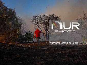 Residents fighting the fire  during a wildfire in southern urban of Attica, Greece, on 17, July 2023. Fire fighting forces battling a blaze...