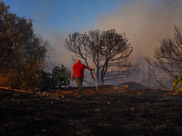 Residents fighting the fire  during a wildfire in southern urban of Attica, Greece, on 17, July 2023. Fire fighting forces battling a blaze...