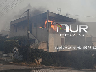 Flames engulf a house  as a wildfire rages in Saronida near Athens, Greece on July 17, 2023. (