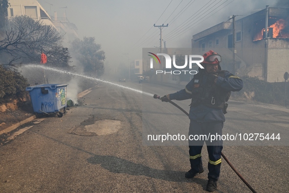 A firefighter operates  as a wildfire rages inside the residential area of Saronida near Athens, Greece on July 17, 2023. 