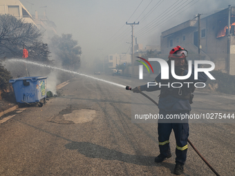 A firefighter operates  as a wildfire rages inside the residential area of Saronida near Athens, Greece on July 17, 2023. (