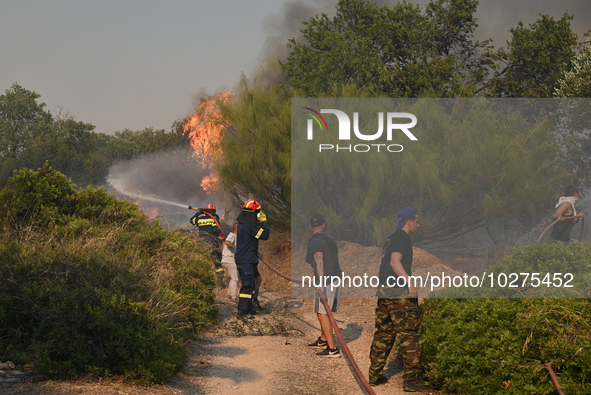 Firefighters and local residents operate as a wildfire rages in Saronida near Athens, Greece on July 17, 2023. 