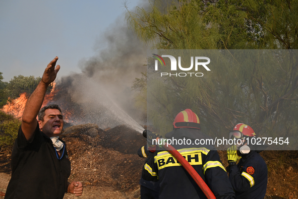 Firefighters operate as a wildfire rages in Saronida near Athens, Greece on July 17, 2023. 