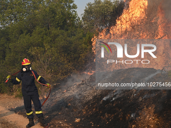 A firefighter operates as a wildfire rages in Saronida near Athens, Greece on July 17, 2023. (