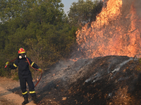 A firefighter operates as a wildfire rages in Saronida near Athens, Greece on July 17, 2023. (