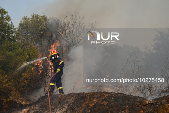 A firefighter operates as a wildfire rages in Saronida near Athens, Greece on July 17, 2023. 