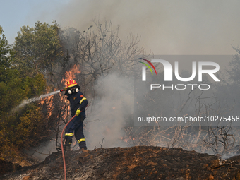 A firefighter operates as a wildfire rages in Saronida near Athens, Greece on July 17, 2023. (