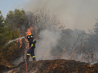 A firefighter operates as a wildfire rages in Saronida near Athens, Greece on July 17, 2023. (