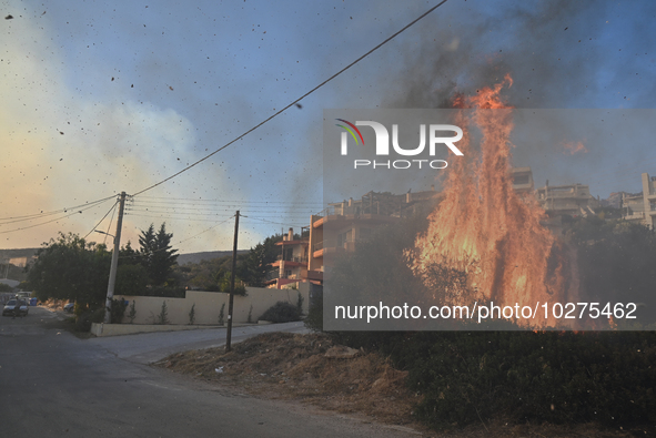 A wildfire rages inside the residential area of Saronida near Athens, Greece on July 17, 2023.   