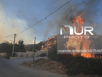 A wildfire rages inside the residential area of Saronida near Athens, Greece on July 17, 2023.   (