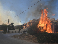 A wildfire rages inside the residential area of Saronida near Athens, Greece on July 17, 2023.   (