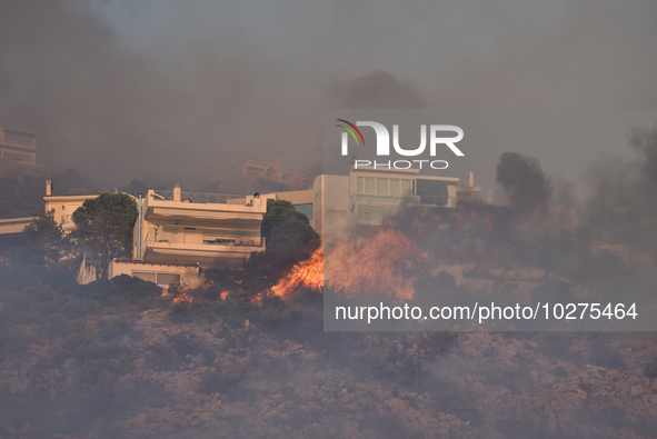 A wildfire rages inside the residential area of Saronida near Athens, Greece on July 17, 2023. 