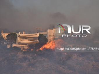 A wildfire rages inside the residential area of Saronida near Athens, Greece on July 17, 2023. (