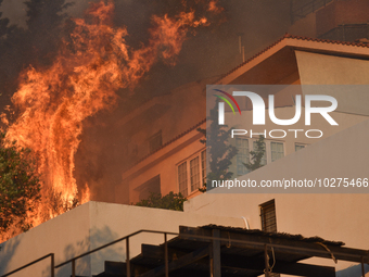 Flames engulf a house  as a wildfire rages in Saronida near Athens, Greece on July 17, 2023. (