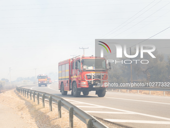 The wildfire in the central Greek region of Attica rapidly spread within 24 hours. The forest fire that ignited on Monday in the Dervenochor...