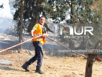 The wildfire in the central Greek region of Attica rapidly spread within 24 hours. The forest fire that ignited on Monday in the Dervenochor...