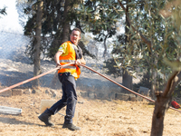 The wildfire in the central Greek region of Attica rapidly spread within 24 hours. The forest fire that ignited on Monday in the Dervenochor...