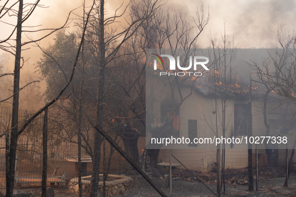 The wildfire in the central Greek region of Attica rapidly spread within 24 hours. The forest fire that ignited on Monday in the Dervenochor...