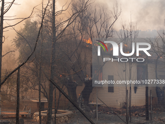 The wildfire in the central Greek region of Attica rapidly spread within 24 hours. The forest fire that ignited on Monday in the Dervenochor...