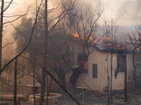 The wildfire in the central Greek region of Attica rapidly spread within 24 hours. The forest fire that ignited on Monday in the Dervenochor...