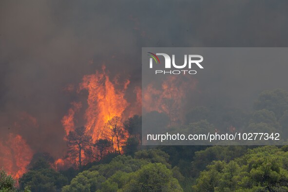 The wildfire in the central Greek region of Attica rapidly spread within 24 hours. The forest fire that ignited on Monday in the Dervenochor...