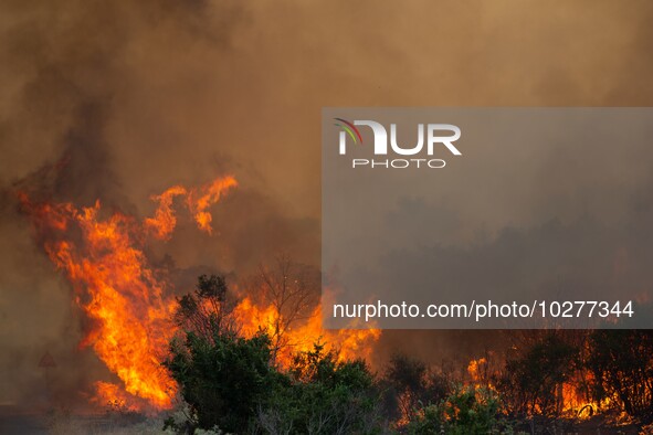 The wildfire in the central Greek region of Attica rapidly spread within 24 hours. The forest fire that ignited on Monday in the Dervenochor...