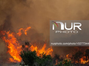 The wildfire in the central Greek region of Attica rapidly spread within 24 hours. The forest fire that ignited on Monday in the Dervenochor...