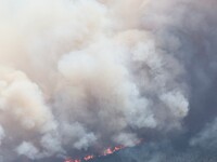 The wildfire in the central Greek region of Attica rapidly spread within 24 hours. The forest fire that ignited on Monday in the Dervenochor...