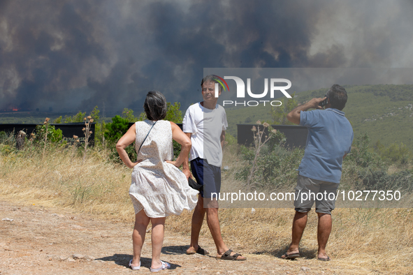 The wildfire in the central Greek region of Attica rapidly spread within 24 hours. The forest fire that ignited on Monday in the Dervenochor...