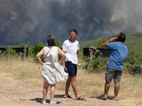 The wildfire in the central Greek region of Attica rapidly spread within 24 hours. The forest fire that ignited on Monday in the Dervenochor...