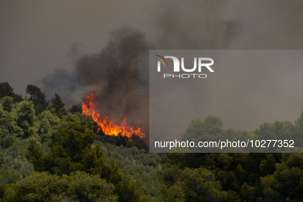 The wildfire in the central Greek region of Attica rapidly spread within 24 hours. The forest fire that ignited on Monday in the Dervenochor...