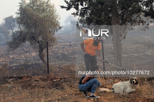 The wildfire in the central Greek region of Attica rapidly spread within 24 hours. The forest fire that ignited on Monday in the Dervenochor...