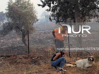 The wildfire in the central Greek region of Attica rapidly spread within 24 hours. The forest fire that ignited on Monday in the Dervenochor...