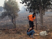 The wildfire in the central Greek region of Attica rapidly spread within 24 hours. The forest fire that ignited on Monday in the Dervenochor...