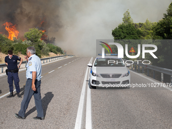 The wildfire in the central Greek region of Attica rapidly spread within 24 hours. The forest fire that ignited on Monday in the Dervenochor...