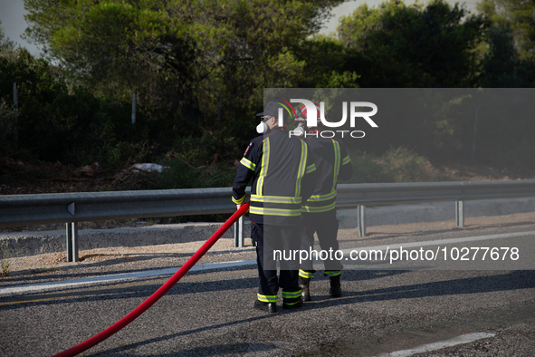 The wildfire in the central Greek region of Attica rapidly spread within 24 hours. The forest fire that ignited on Monday in the Dervenochor...