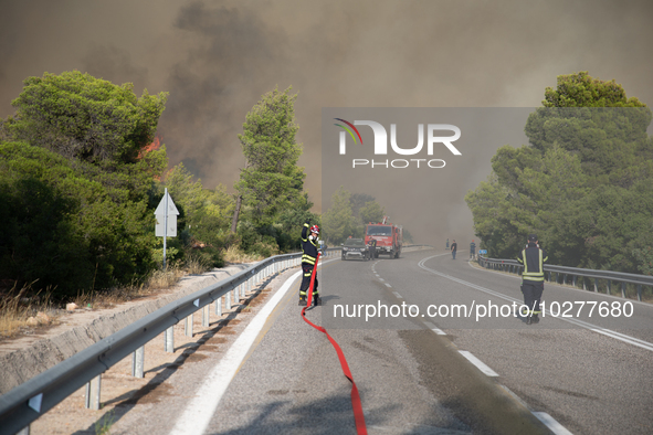 The wildfire in the central Greek region of Attica rapidly spread within 24 hours. The forest fire that ignited on Monday in the Dervenochor...