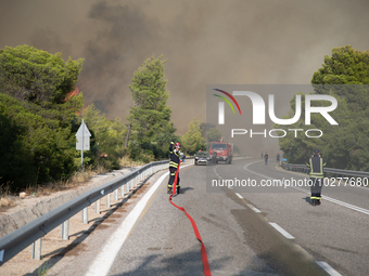 The wildfire in the central Greek region of Attica rapidly spread within 24 hours. The forest fire that ignited on Monday in the Dervenochor...