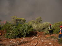 The wildfire in the central Greek region of Attica rapidly spread within 24 hours. The forest fire that ignited on Monday in the Dervenochor...