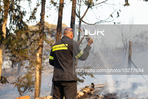 The wildfire in the central Greek region of Attica rapidly spread within 24 hours. The forest fire that ignited on Monday in the Dervenochor...