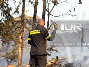 The wildfire in the central Greek region of Attica rapidly spread within 24 hours. The forest fire that ignited on Monday in the Dervenochor...