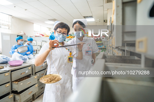 Medical staff exchange plans for traditional Chinese medicine at the Hospital of Traditional Chinese Medicine in Bijie, Southwest China's Gu...